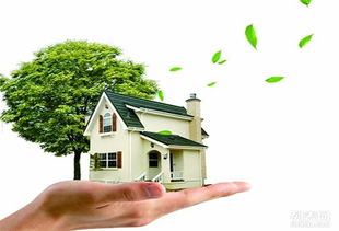 苏州醛盾环保 专业守护车内与室内空气健康，打造清新呼吸环境