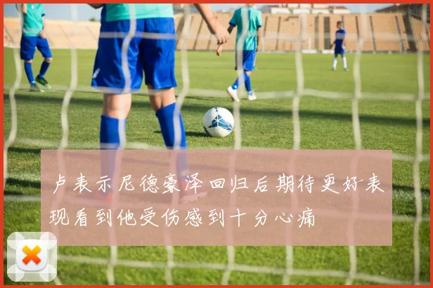 卢表示尼德豪泽回归后期待更好表现看到他受伤感到十分心痛